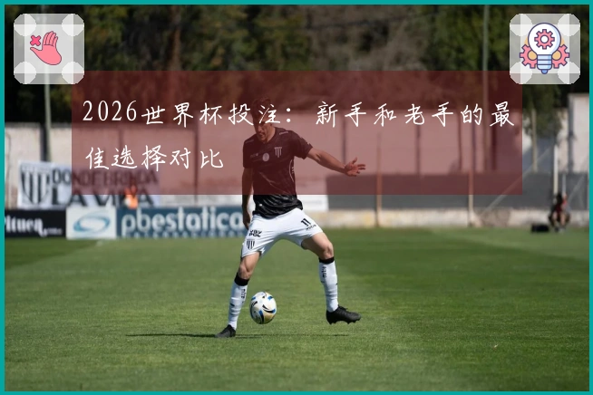 2026世界杯投注：新手和老手的最佳选择对比