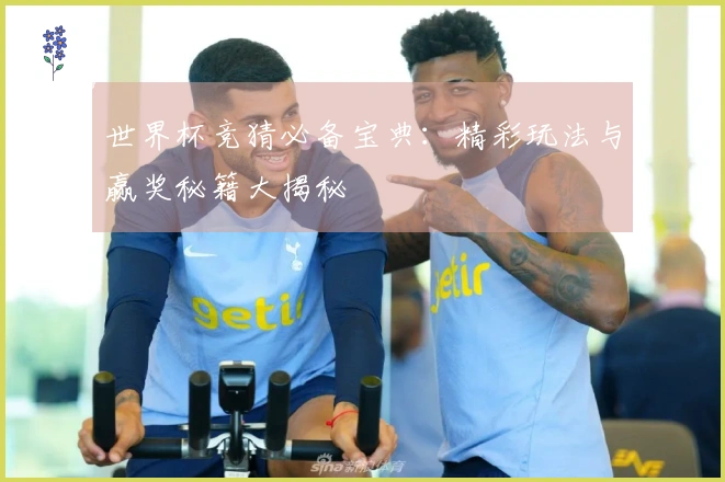 世界杯竞猜必备宝典：精彩玩法与赢奖秘籍大揭秘